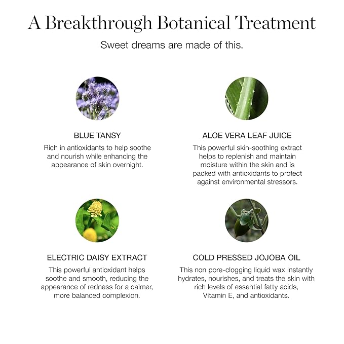 Indigo Dream Renewal Cream Face Moisturizer - Hydrating Face Cream with Hyaluronic Acid & Ceramides - Organic Ingredients, Cruelty-Free & Made in USA