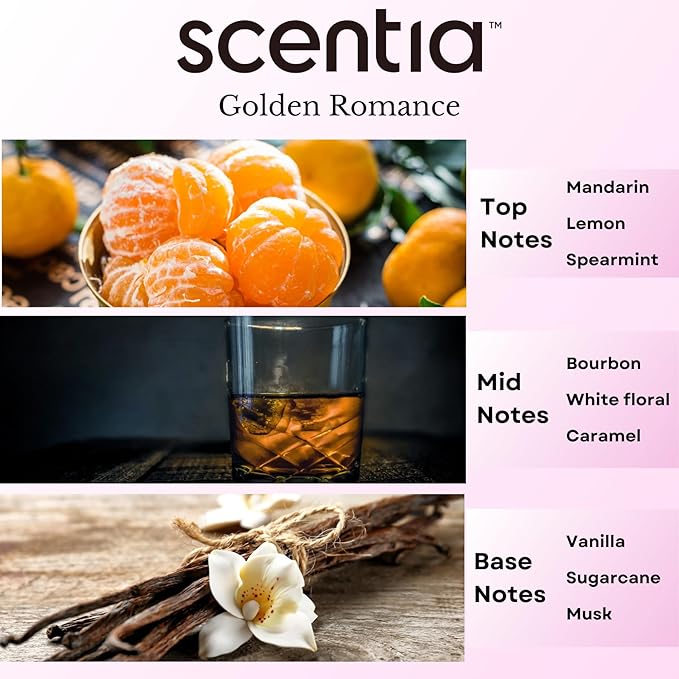 Fragrance Oil Set - Essential Oil Blends for Diffusers, Aromatherapy, Soap & Candle Making, DIY Crafts - Jasmine, Rose, Citrus, Amber, Musk - Valentine's Gift for Her, Couples - 3x20ml (2.03 fl oz)