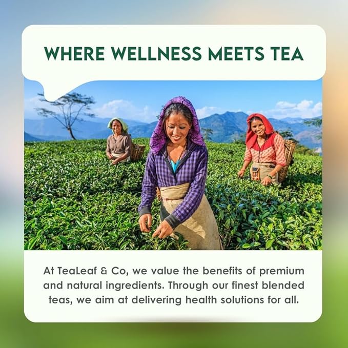 Classic Green Tea Bags (3.53oz/100gm), Loose Leaf 50 Pyramid Teabags, Blended with Fresh Herbs and Spices, Organic Herbal Tea, Low Caffeine Gluten Free