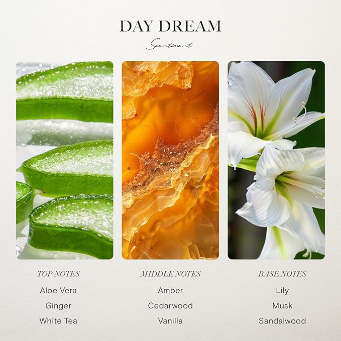 Day Dream Hotel Diffuser Oil | Inspired by Westin® Hotels' Lobby Scent | Aromatherapy Home Fragrance| Luxurious Scent with Notes of Aloe Vera, Cedar, White Tea (500 mL)