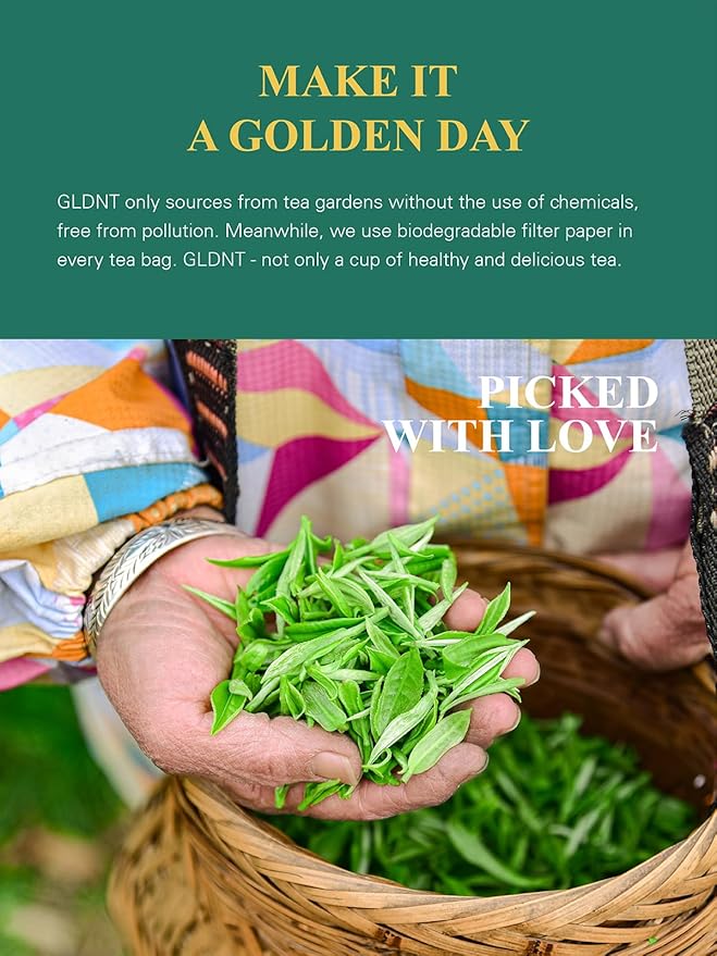 GLDNT Organic Jasmine Green Tea Bags, Organic Green Tea Scented with Jasmine Flowers, Floral Aroma & Smooth Taste, 100 Count