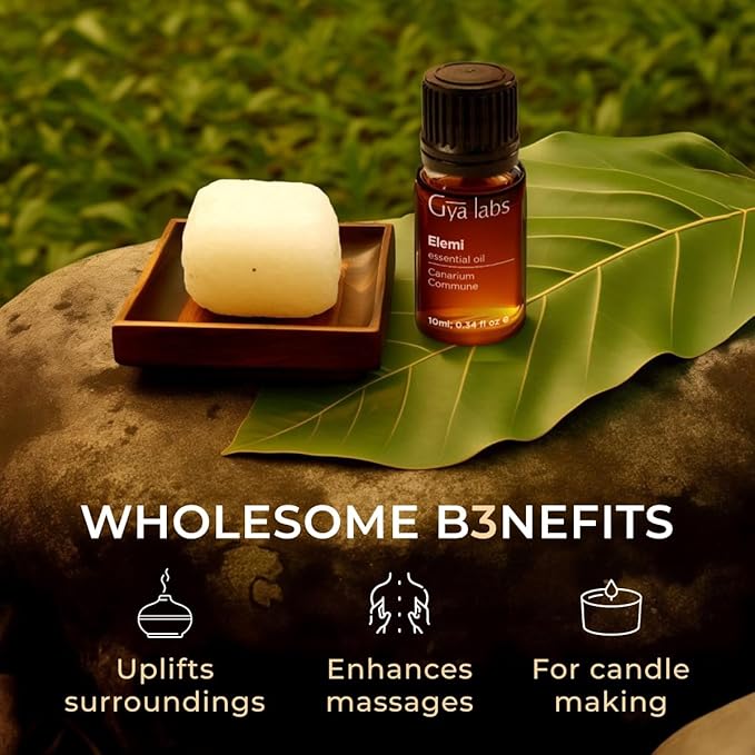 Gya Labs Elemi Essential Oil for Skin - 0.34 Fl Oz - 100% Pure Natural Elemi Oil for Diffuser, Massage, Aromatherapy, Candle Making & DIY - Fresh, Citrusy & Peppery Scent