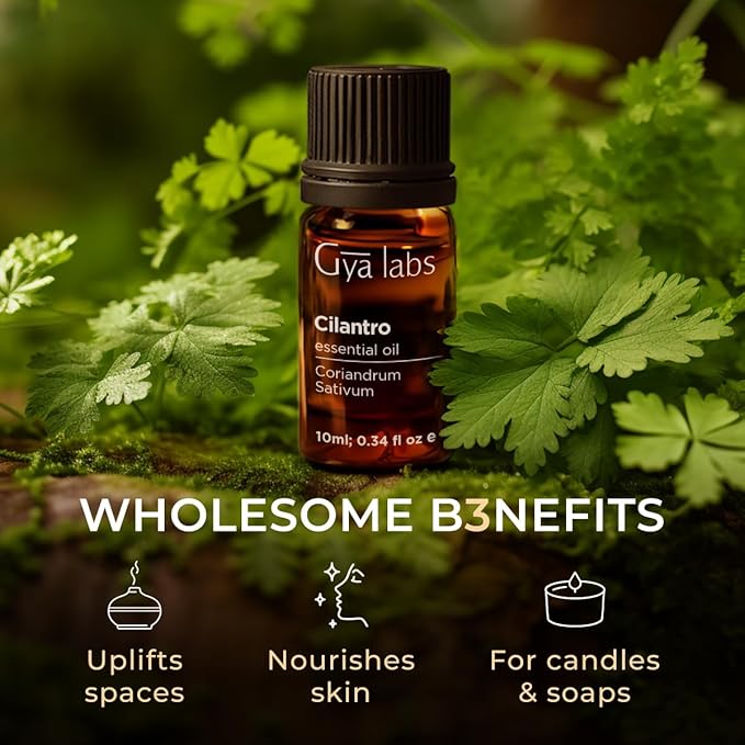 Gya Labs Cilantro Essential Diffusers - for Skin - Cilantro Oil for Aromatherapy, Massage Oil Candles Making - Fresh Herbaceous Scent - 100% Natural (0.34 Fl Oz)
