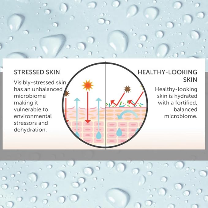 Consult Beaute - MICROBIOME Skin Barrier Moisture Balancing Skin Care Trio - Serum Concentrate, Hydrating Facial Cream & Kombucha Face Wash - For All Skin Types - Lightweight - For Women and Men
