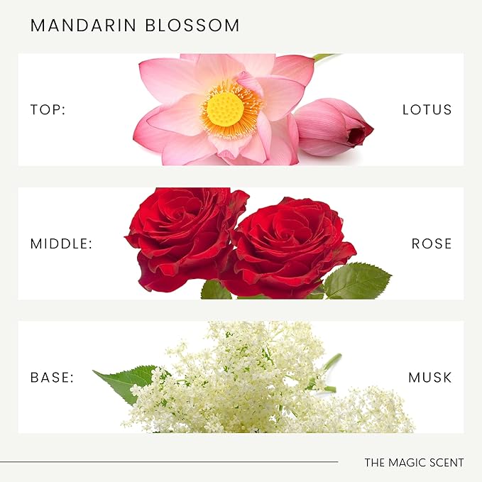 Mandarin Blossom Oils for Diffuser - HVAC, Cold-Air, & Ultrasonic Diffuser Oil, HVAC scents Inspired by St. Regis Hotel, Maldives - Essential Oils for Aromatherapy - 8.5 fl oz, 250 mL