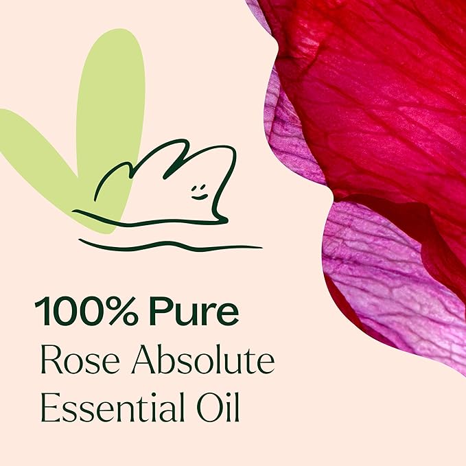 Plant Therapy Rose Absolute Essential Oil 100% Pure, Undiluted, Natural Aromatherapy, Therapeutic Grade 10 mL (1/3 oz)