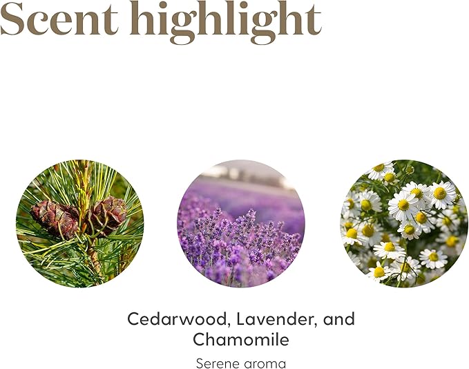 Young Living Tranquil Essential Oil Roll-On 10ml - Relaxing Blend - Find Peace and Serenity - Combines Cedarwood, Lavender, and Roman Chamomile for a Soothing Aroma Experience.