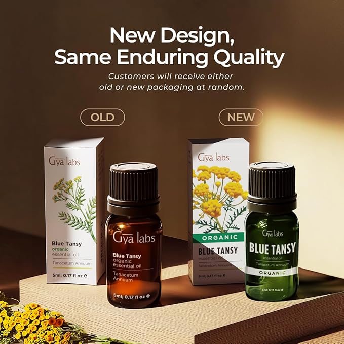 Gya Labs Blue Tansy Essential Oils for Skin - 100% Pure Natural Organic Blue Tansy Oil for Face, Diffuser, Candle Making (0.17 Fl Oz)