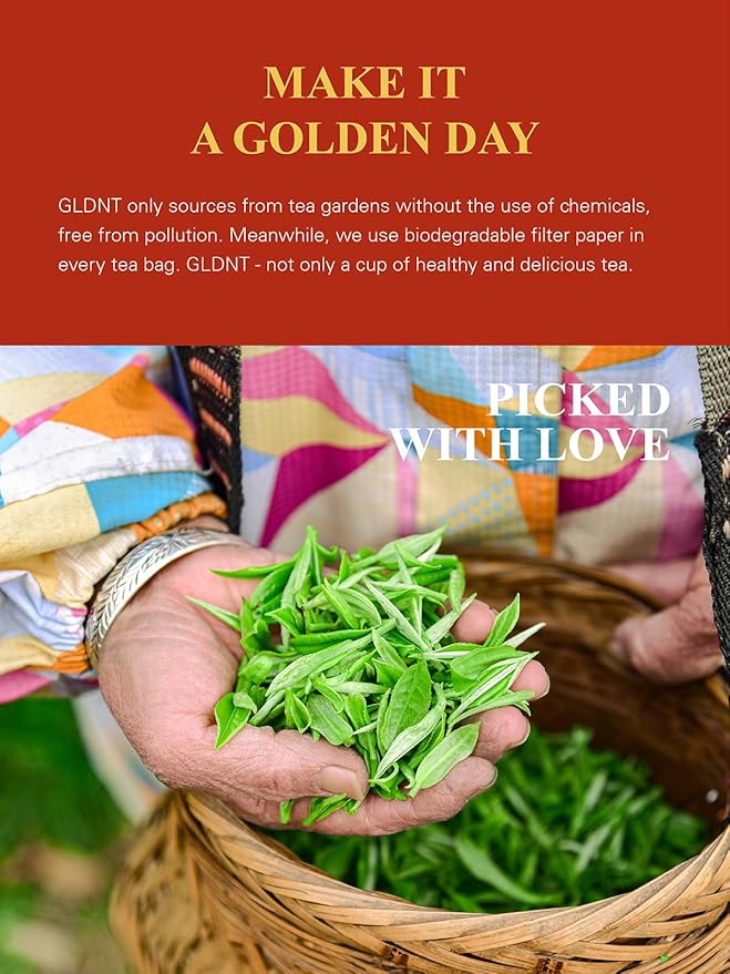 GLDNT Organic Pu-erh Tea Bags, Fermented Yunnan Dark Tea, Bold & Mellow Flavor, Caffeinated, 100 Count
