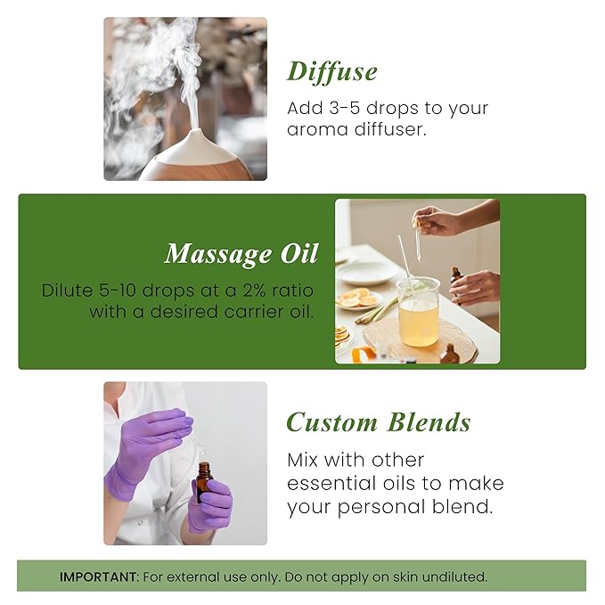 Handcraft Blends Bergamot Essential Oil - 1 Fl Oz - 100% Pure and Natural - Premium Grade Essential Oil for Diffuser and Aromatherapy