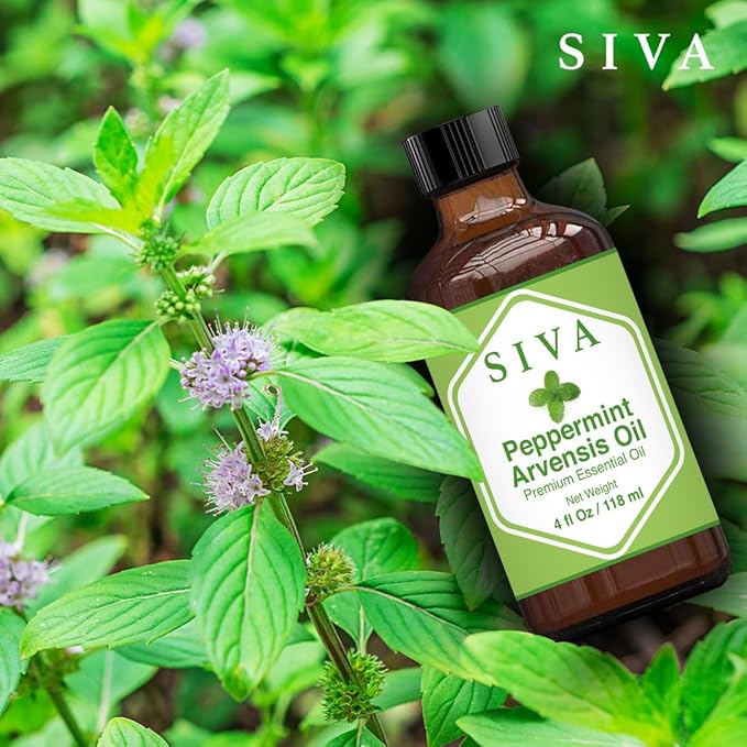 SIVA Peppermint Arvensis Essential Oil - 4 Fl Oz – Natural Peppermint Arvensis Oil - for Diffuser, Face, Skin Care, Aromatherapy, Hair Care, Scalp and Body Massage - with Dropper