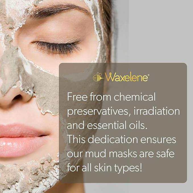 Waxelene Detoxifying Mud Mask Dry Blend - Deep Pore Cleanse Ritual Eczema Acne Oily Sensitive Skin Activated Charcoal Bentonite Dead Sea Clay