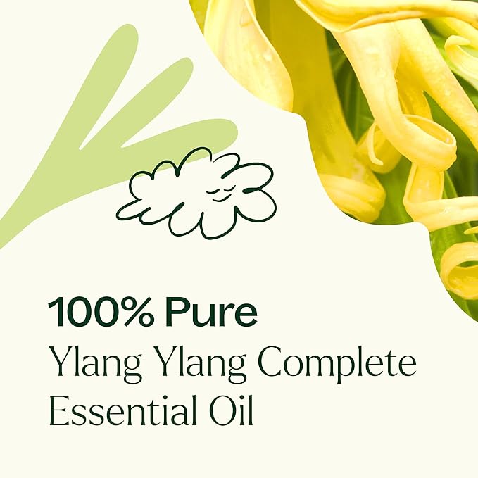 Plant Therapy Ylang Ylang Complete Essential Oil 100% Pure, Undiluted, Natural Aromatherapy, Therapeutic Grade 10 mL (1/3 oz)