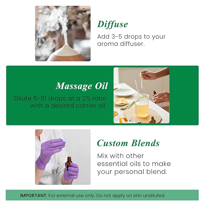 Handcraft Blends Thyme Essential Oil - 1 Fl Oz - 100% Pure and Natural - Premium Grade Essential Oil for Diffuser and Aromatherapy