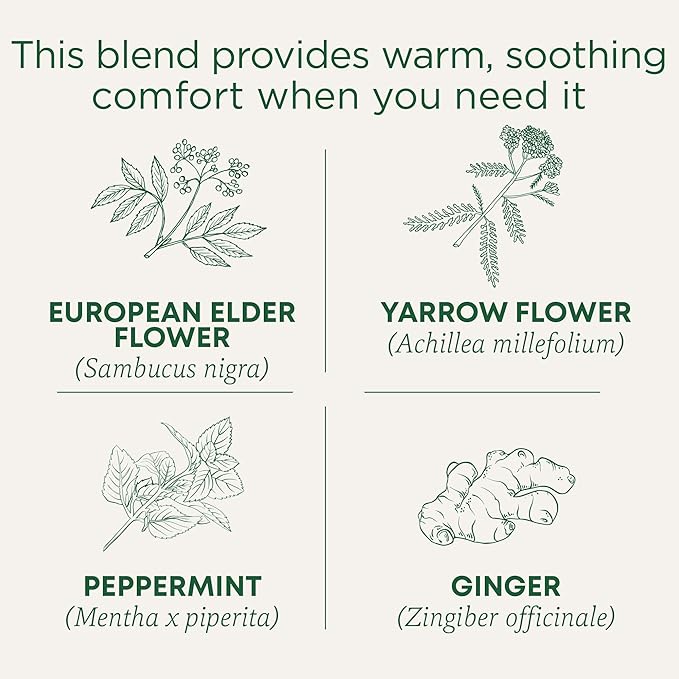 Traditional Medicinals Tea, Herbal Cold Care Seasonal Tea with Elderflower Spice, 96 Tea Bags(Pack of 6)