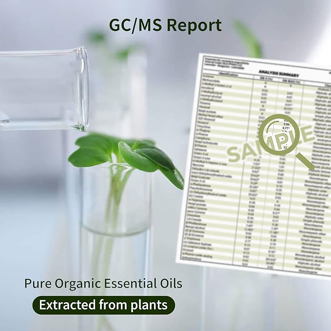 Sedbuwza Vanilla Coffee Essential Oil Set, Vanilla Fragrance Oil Coffee Scent Oil Set for Diffuser, Aromatherapy, Massage, Soap, Candle Making 2 x 10 ml