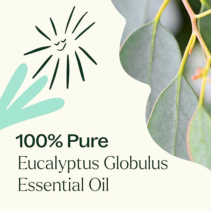 Plant Therapy Eucalyptus Globulus Essential Oil 30 mL (1 oz) for Diffuser, Skin, Hair, Aromatherapy DIYs, and Clear Breathing, 100% Pure, Undiluted, Therapeutic Grade