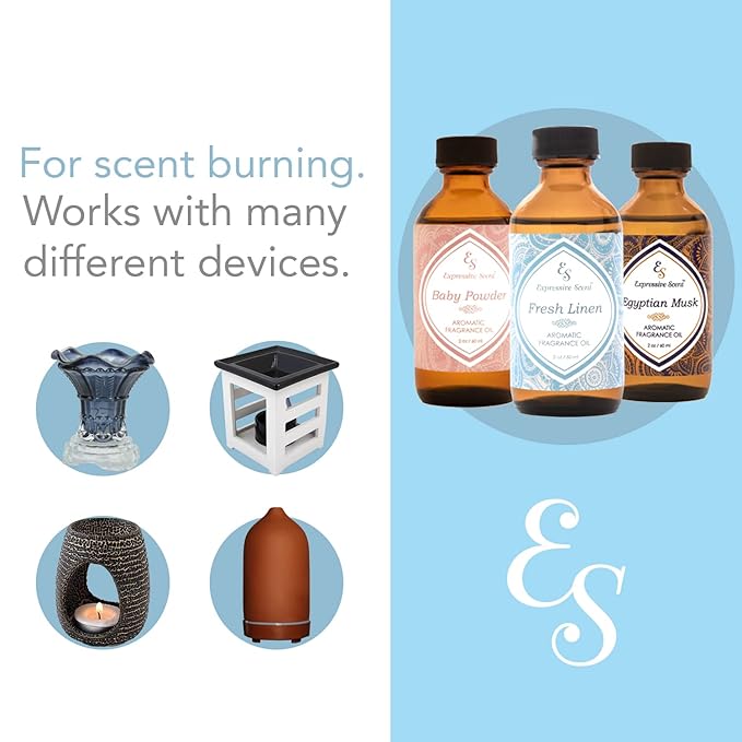 2oz Scented Home Fragrance Essential Oil by Expressive Scent (Champagne)
