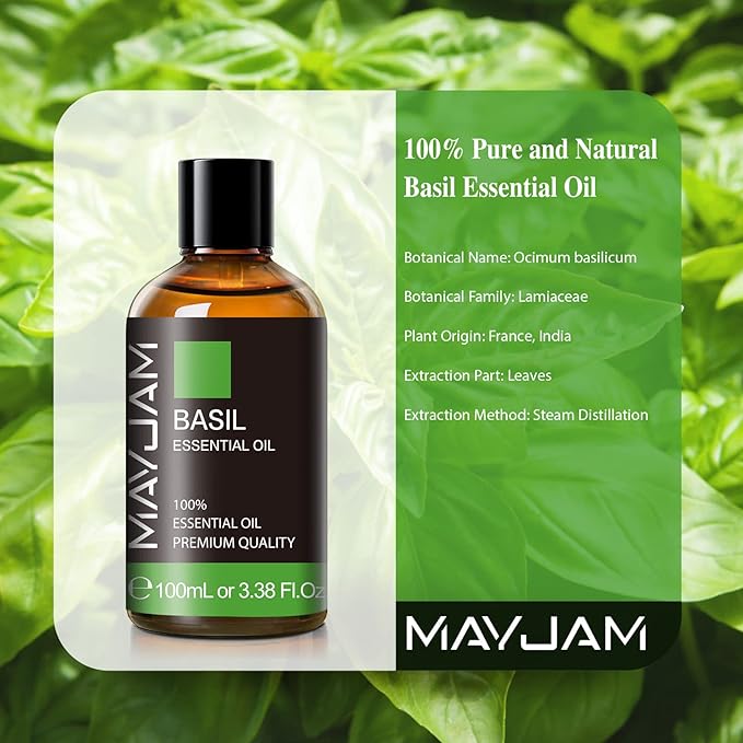 Basil Essential Oil 100ml, MAYJAM Premium Essential Oils for Aromatherapy, Diffuser, Soap Making, Candle Making, Large Bottle Basil Oil with Gift Box(3.38fl.oz)