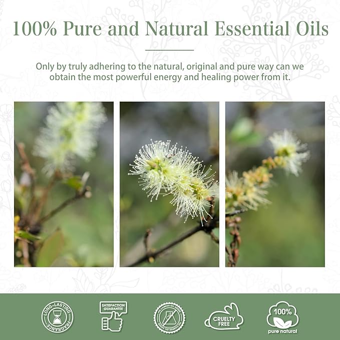 Cajeput 3.38fl.oz Essential Oil, PHATOIL Pure Aromatherapy Oils for Diffuser, Humidifier, Perfect for DIY Soap, Candle, Bath Bombs Making(100ml)