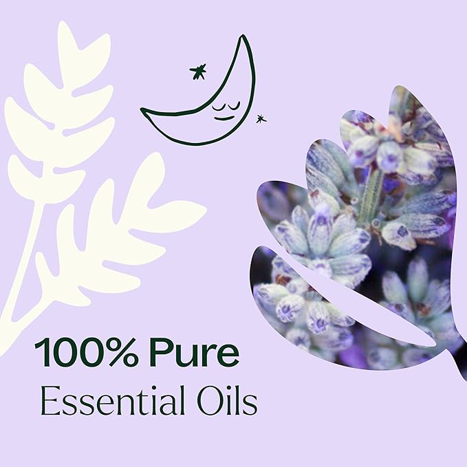 Plant Therapy Sparkling Lavender Laundry Essential Oil Blend 30 mL (1 oz) Pure, Undiluted, Wash Fragrance and Scent Enhancer