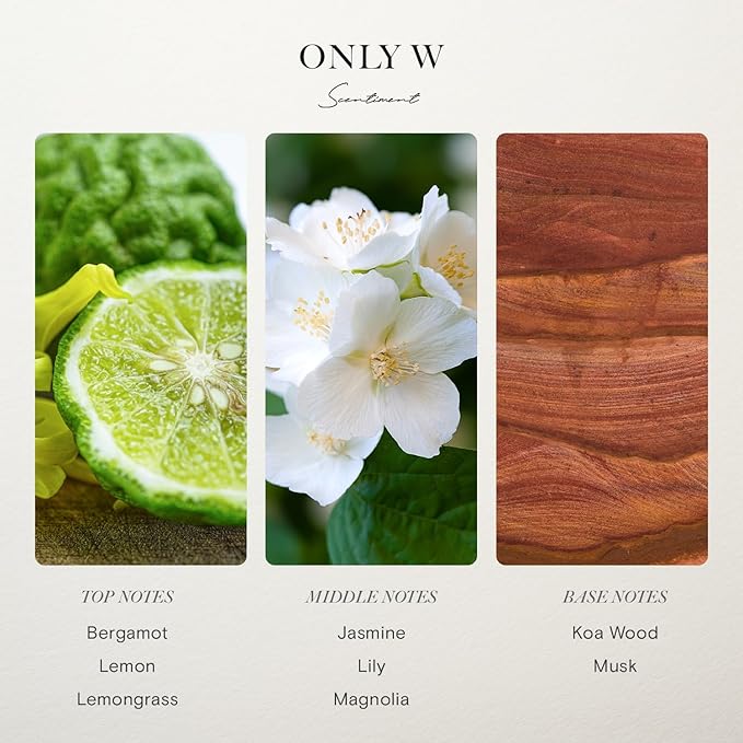 Amalfi Coast Hotel Diffuser Oil | Formerly Known as Only W | Aromatherapy Fragrance Inspired by 5-Star Hotels | Notes of Bergamot, Lemongrass, Jasmine, Lily, Magnolia & Koa Wood (50 mL)