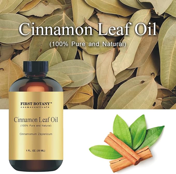 First Botany, 100% Pure Cinnamon Essential Oil - Premium Oil for Aromatherapy, Massage, Topical & Household Uses - 1 fl oz (Cinnamon)