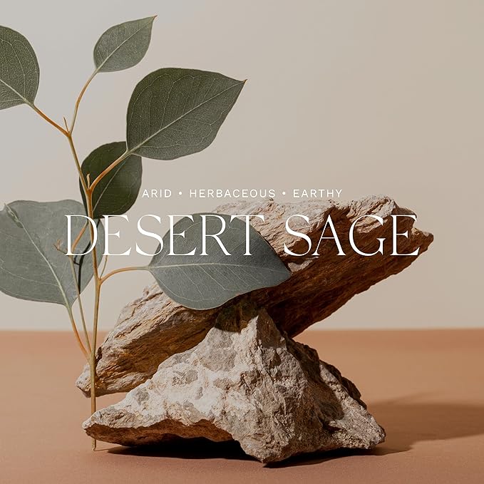 Antica Farmacista Hand Wash -Desert Sage, 10 Fl Oz (Pack of 1)