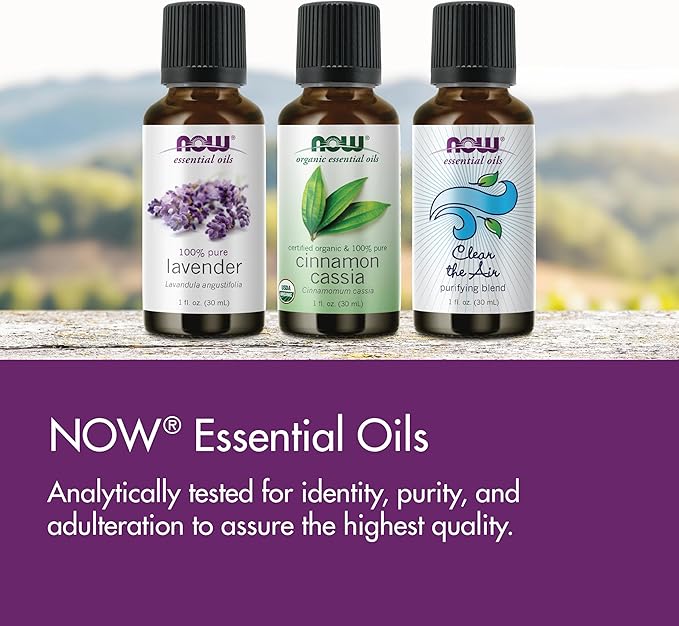 NOW Essential Oils, Rose Absolute, 5% Blend of Pure Rose Absolute Oil in Pure Jojoba Oil, Romantic Aromatherapy Scent, Vegan, Child Resistant Cap, 1-Ounce