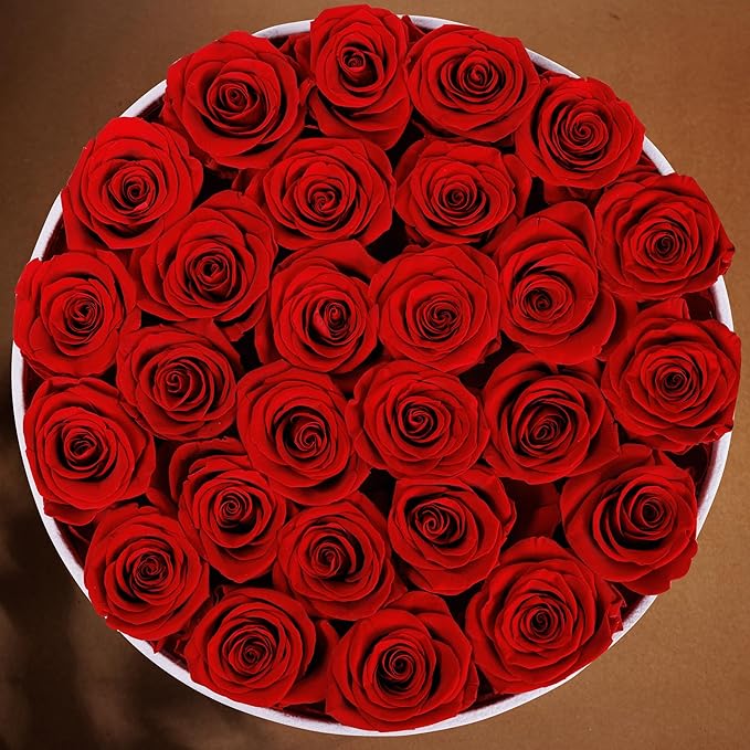 27 Flowers in a Luxury Suede Box, Birthday Gifts for Women, Preserved Flowers, Mothers Day Roses Gift for Mom, Red