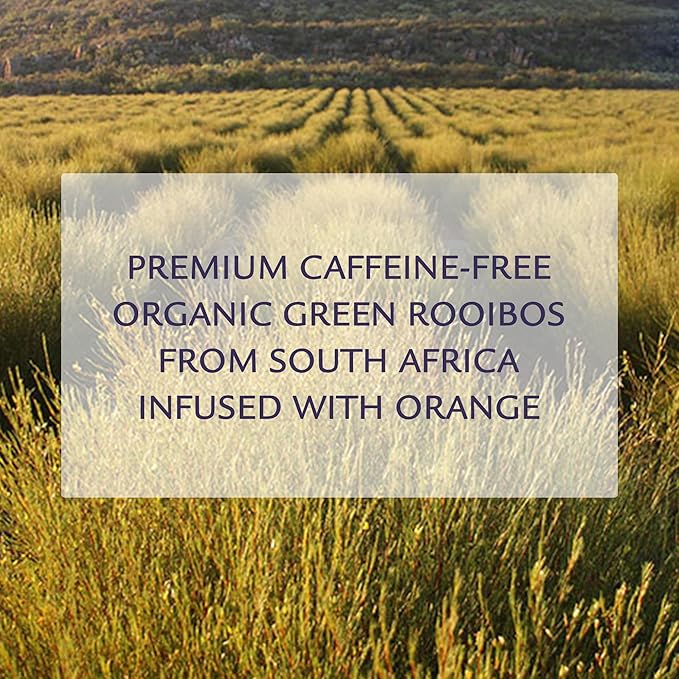 Birdsong Orange Sugarbird: Organic Green Rooibos Herbal Teas, Light and Refreshing Caffeine Free Tea with 100% Natural Sweet Creamy Flavor and Health Benefits, 15 Pyramid Honeybush Orange Tea Sachet