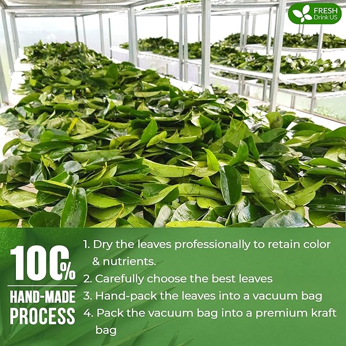 FreshDrinkUS, 55+ Premium Soursop Graviola Dried Leaves, 55-60 Natural Whole Leaves, Wildcrafted, Graviola, Hoja Guanabana, Soursop Loose Leaf Herbal Tea, No Gluten, Vegan