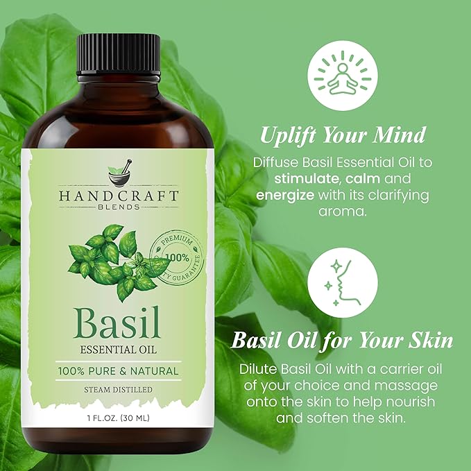 Handcraft Blends Basil Essential Oil - 1 Fl Oz - 100% Pure and Natural - Premium Grade Essential Oil for Diffuser and Aromatherapy