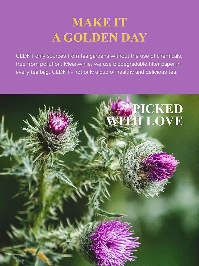 GLDNT Organic Milk Thistle Tea, Natural Organic Milk Thistle Seed Herbal Tea, Mild & Mellow Taste, Caffeine Free, 100 Count