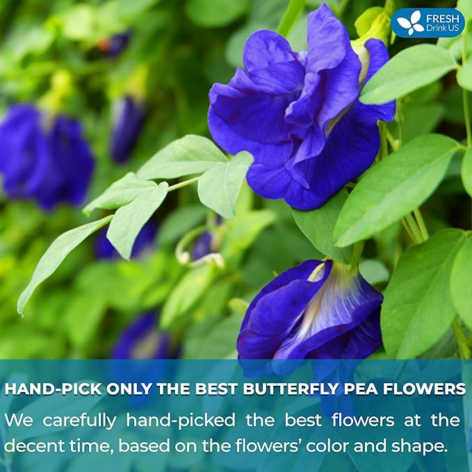 FreshDrinkUS, Premium 100 Blue Butterfly Pea Flowers Tea Bags, 100% Natural and Pure from Butterfly Pea Flowers, Made With Natural Material Tea Bag, No Sugar, No Caffeine, No Gluten, Vegan