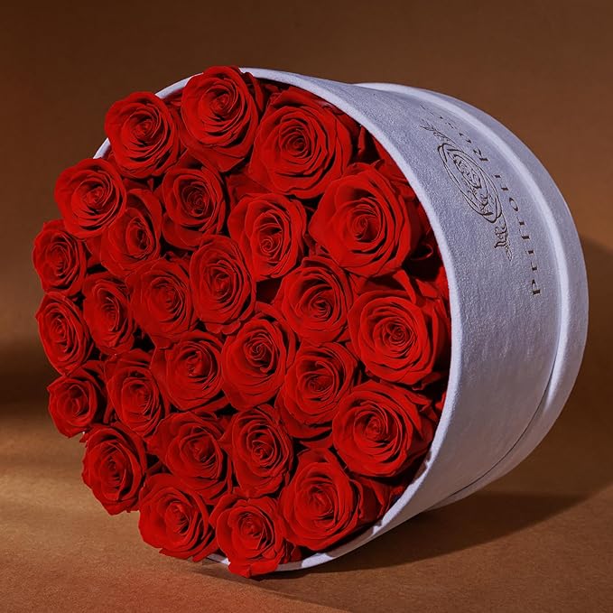 27 Flowers in a Luxury Suede Box, Birthday Gifts for Women, Preserved Flowers, Mothers Day Roses Gift for Mom, Red