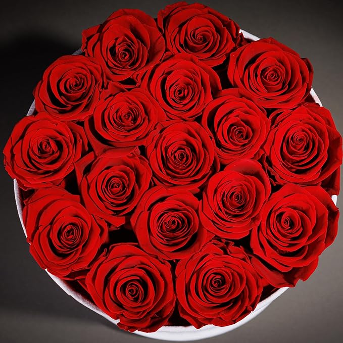 17 Flowers in a Luxury Suede Box, Birthday Gifts for Women, Preserved Flowers, Mothers Day Roses Gift for Mom, Red