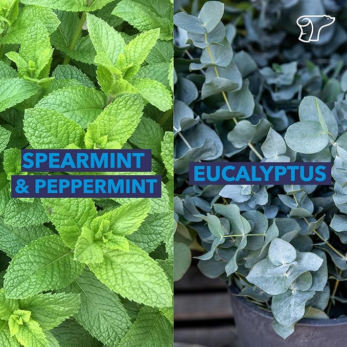 TheraICE Rx Soothing Head Stick 10 ml (.33-Oz) Essential Oil Roll on Aromatherapy: Peppermint, Spearmint, Lavender, Chamomile, Rosemary, Eucalyptus. Metal Roller. USA Made