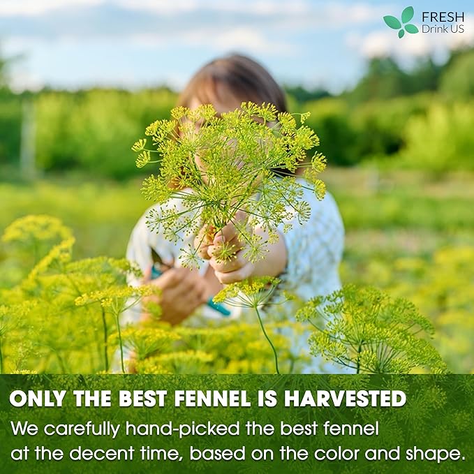 FreshDrinkUS, Premium 75 Fennel Tea Bags, 100% Natural & Pure from Fennel Seeds. Fennel Seed Herbal Tea. Fennel Seed Tea. Made with Natural Material Tea Bags. No Sugar, No Caffeine, No Gluten, Vegan.