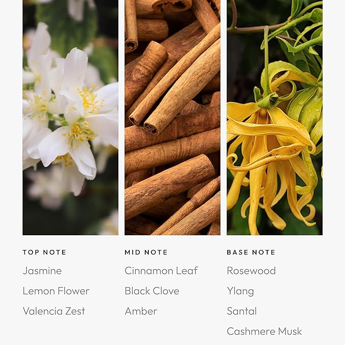 Sweet Caroline Pro Pod 50ML