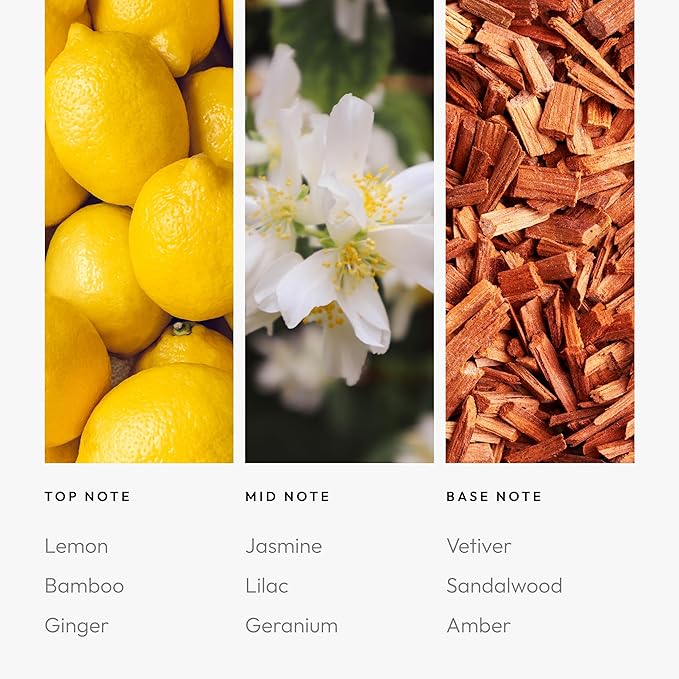 Aroma360 Pro Pod - Fragrance Oil Inspired by Mandara Spa - Scent Includes Bamboo, Jasmine & Ginger - Champagne Supernova, 50mL/1.7 fl oz