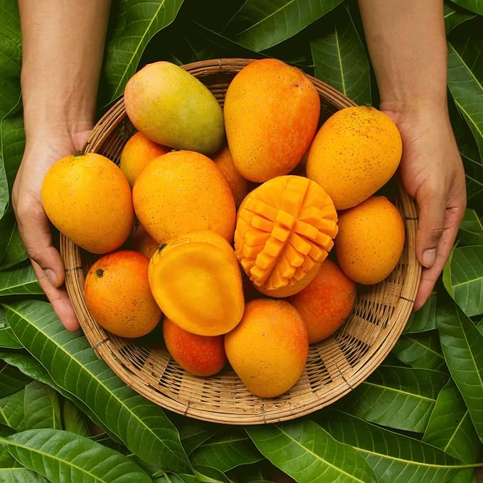 Mango Breeze Refreshing Eye Serum – Hydrating & Brightening Under-Eye Treatment for Dark Circles, Puffiness, and Fine Lines | Vegan, Cruelty-Free, Soothing Dual-Action Formula