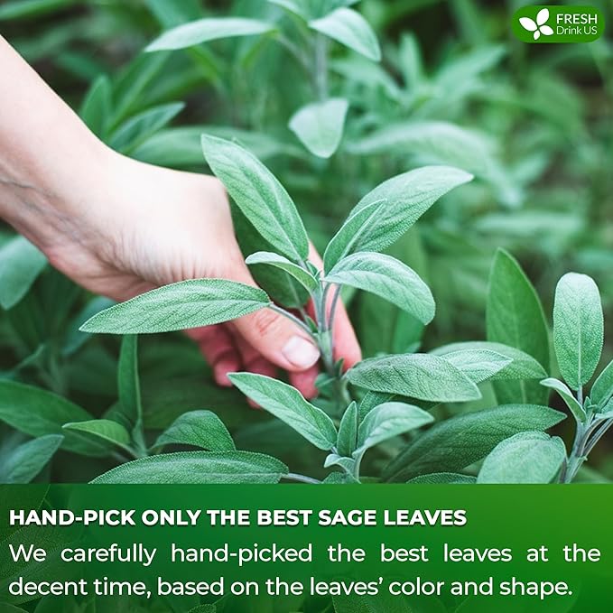 FreshDrinkUS, Premium 15 Sage Leaf Tea Bags, 100% Natural & Pure from Sage Leaves. Loose Leaf Sage Herbal Tea. Made with Natural Material Tea Bags. No Sugar, No Caffeine, No Gluten, Vegan.