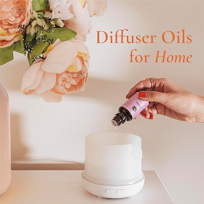 P&J Fragrance Oil Holiday Set | Mistletoe, Candy Cane, Wintermint, Apple Cider, Cranberry, and Forest Pine Candle Scents for Candle Making, Freshie Soap Making Supplies, Diffuser Oil Scents