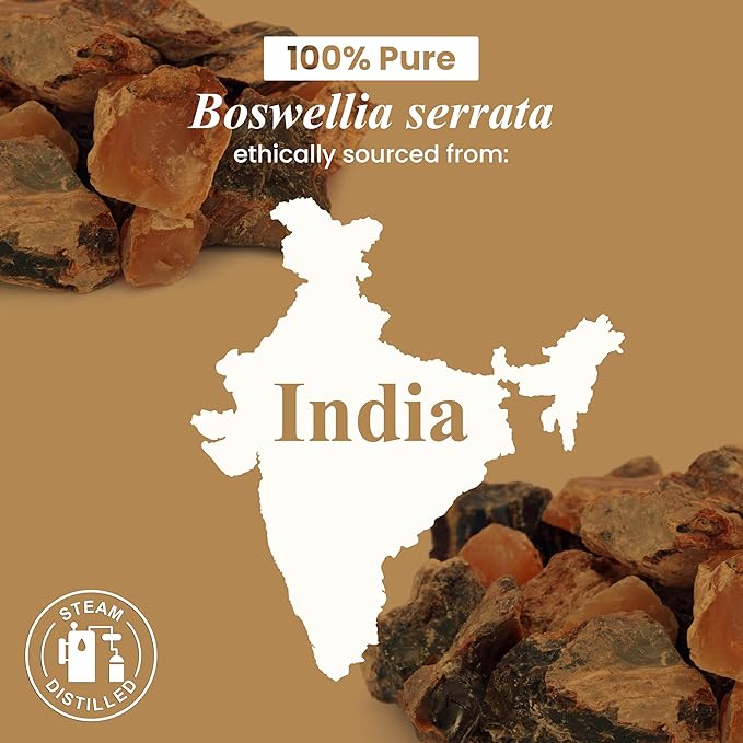 Handcraft Blends Frankincense Essential Oil - 1 Fl Oz - 100% Pure and Natural - Premium Grade Essential Oil for Diffuser and Aromatherapy