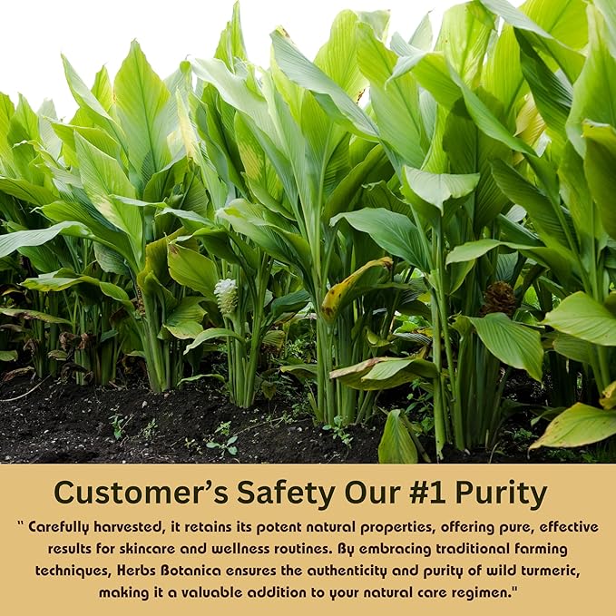 Wild Turmeric Powder 100% Pure Kasturi Turmeric for Face, Skin Care & DIY Beauty – Natural Powder for Acne, Dark Spots & Hyperpigmentation 5.3 oz Resealable Pack