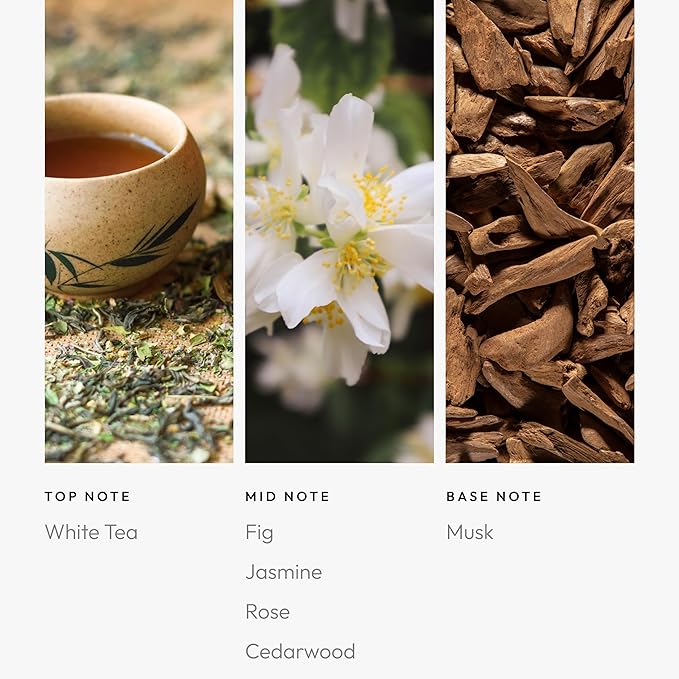 Aroma360 - Graceland Pro Pod 50ML