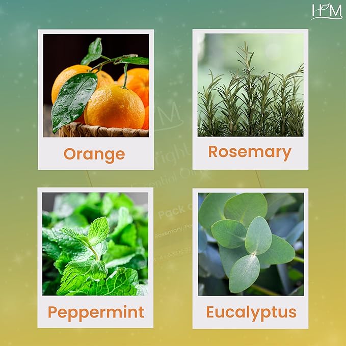 HM Bright Essential Oil Kit – 4 Pack | Gift Set | Orange, Rosemary, Peppermint, Eucalyptus | Energizing Aromatherapy for Focus, Clarity, and Uplifted Mood – 1.35 FL OZ Each