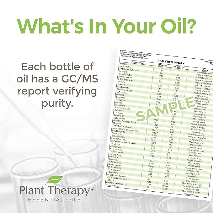 Plant Therapy White Camphor Essential Oil 30 mL (1 oz) 100% Pure, Undiluted, Therapeutic Grade