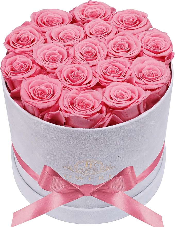 17 Flowers in a Luxury Suede Box, Birthday Gifts for Women, Preserved Flowers, Mothers Day Roses Gift for Mom, Light Pink